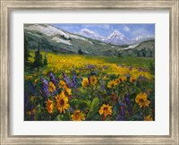 Sierra Awakenings II Fine Art Print