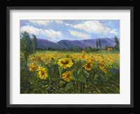 Sierra Awakenings III Fine Art Print