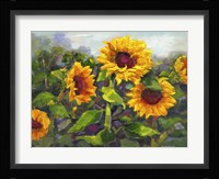 Sierra Awakenings IV Fine Art Print