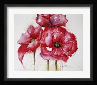 Fuchsia Poppies I Fine Art Print