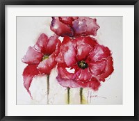 Fuchsia Poppies I Framed Print