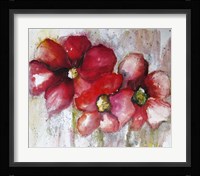 Fuchsia Poppies II Framed Print