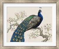 Peacock & Blossoms I Fine Art Print