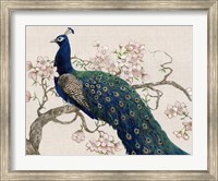 Peacock & Blossoms II Fine Art Print