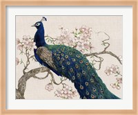 Peacock & Blossoms II Fine Art Print