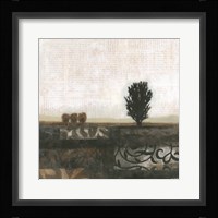 Global Landscape II Framed Print