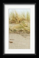 Dunes I Framed Print