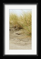 Dunes III Framed Print