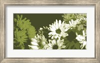 Daisy Garden I Fine Art Print