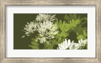 Daisy Garden II Fine Art Print