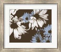 Chocolate Bloom I Fine Art Print