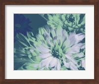 Teal Bloom II Fine Art Print