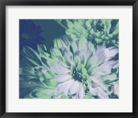 Teal Bloom II Fine Art Print