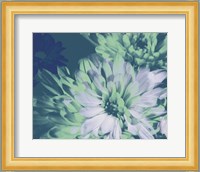 Teal Bloom II Fine Art Print