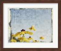 Blackeyed Susans I Fine Art Print