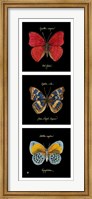 Primary Butterfly Panel I Fine Art Print