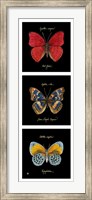 Primary Butterfly Panel I Fine Art Print