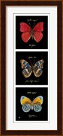Primary Butterfly Panel I Fine Art Print