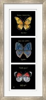 Primary Butterfly Panel II Fine Art Print