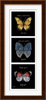 Primary Butterfly Panel II Fine Art Print