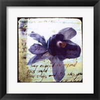 Blooming Purple II Fine Art Print
