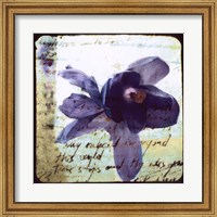 Blooming Purple II Fine Art Print
