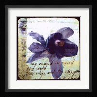 Blooming Purple II Framed Print