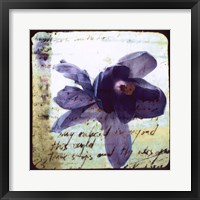 Blooming Purple II Framed Print
