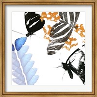 Butterfly Inflorescence II Fine Art Print