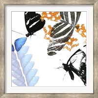 Butterfly Inflorescence II Fine Art Print