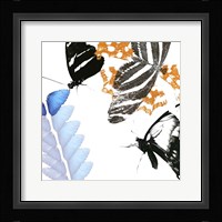 Butterfly Inflorescence II Framed Print