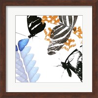 Butterfly Inflorescence II Fine Art Print