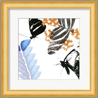 Butterfly Inflorescence II Fine Art Print