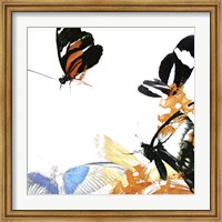 Butterfly Inflorescence IV Fine Art Print