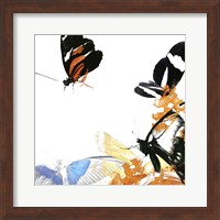 Butterfly Inflorescence IV Fine Art Print