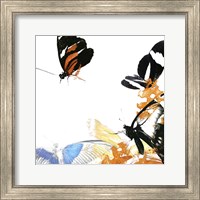 Butterfly Inflorescence IV Fine Art Print