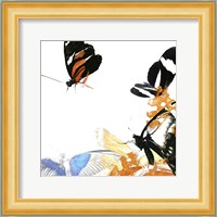 Butterfly Inflorescence IV Fine Art Print