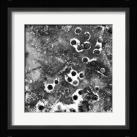 Black Ice I Framed Print