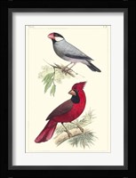 Lemaire Birds I Fine Art Print