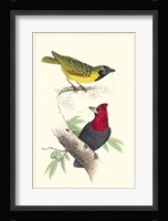 Lemaire Birds II Fine Art Print