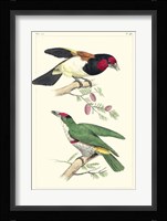 Lemaire Birds III Fine Art Print