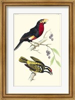 Lemaire Birds IV Fine Art Print