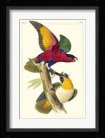 Lemaire Parrots I Fine Art Print