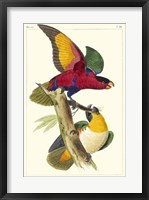 Lemaire Parrots I Fine Art Print