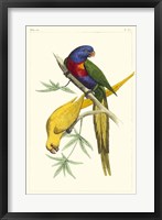 Lemaire Parrots IV Fine Art Print