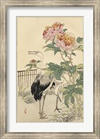 Crane and Peony Fine Art Print