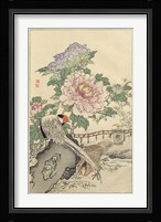 Pheasant and Peony Fine Art Print