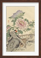 Pheasant and Peony Fine Art Print