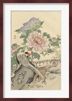 Pheasant and Peony Fine Art Print