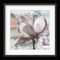 Pastel Magnolias I Fine Art Print